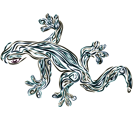 Casa Marin salamander mark